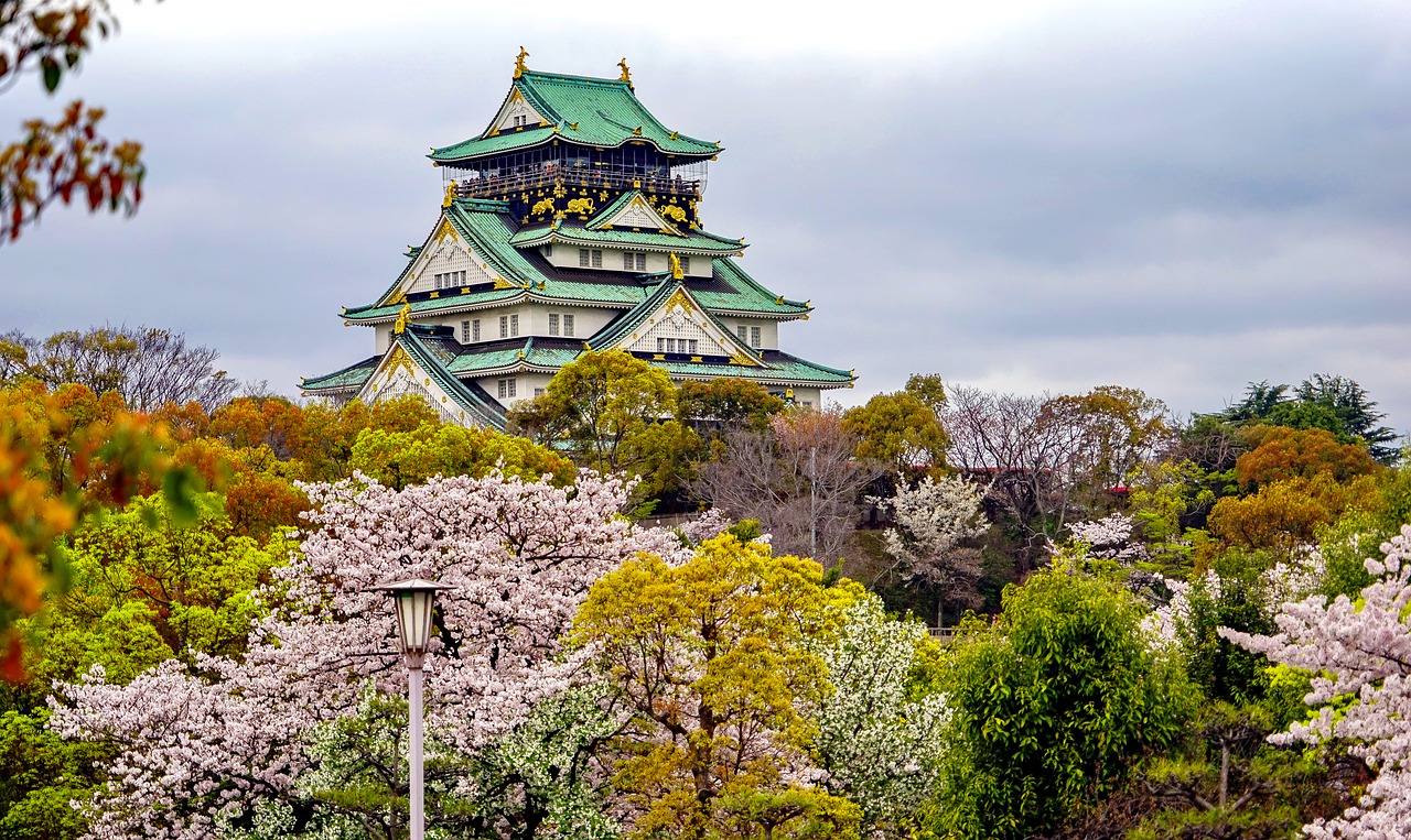 忠县追寻梦想的起点：为何选择高考后去日本留学？